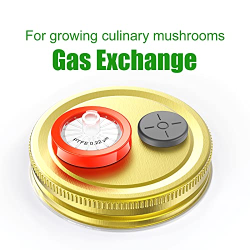 Syringe Filters Ptfe Hydrophobic 25 Mm 0.22 Um Non Sterile 25/Pk By Ks-Tek #TOP1