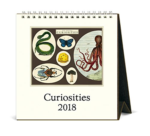 Cavallini Papers & Co 2018 Curiosities Desk Calendar