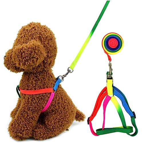 LIOOBO 2個耐久性のあるナイロン製 犬用牽引ロープ ペット犬用プルストラップ 子犬用リード カラフルなデザイン ペット用品 散歩用 外出先での使用に適応