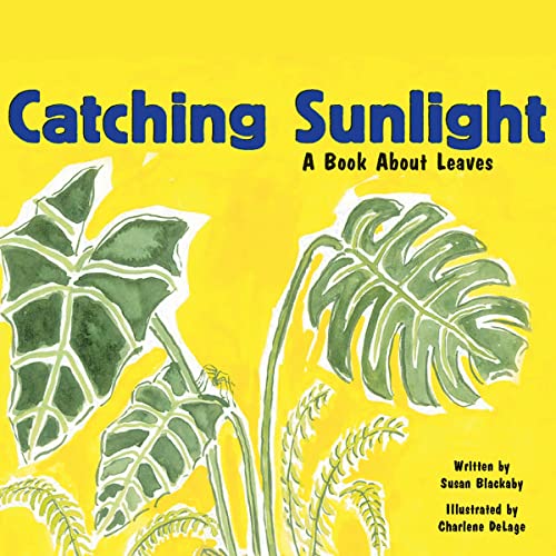 Start This Inspiring Full Audiobook — Perfect During Your Workout.