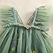 Infant Newborn Babygirl Outfit Mesh Tulle Flower Butterfly Embroidery Sleeveless Adorable Princess Dress (Green, 0-3 Months)