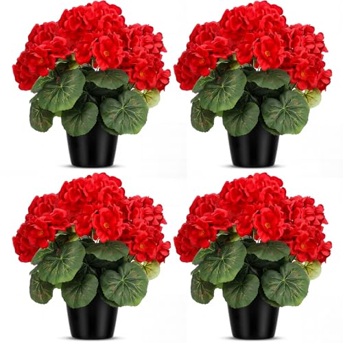 Zeyune 4 Pack Geraniums In Pots