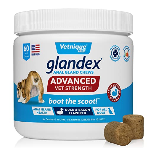 Glandex Anal Gland Soft Chew Treats with Pumpkin for Dogs Digestive Enzymes, Probiotics Fiber Supplement for Dogs Boot The Scoot (Advanced Strength Duck/Bacon Chews (Vegetarian), 60ct)