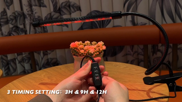 Watch Professional LED Grow Lights for indoor plants on Amazon Live