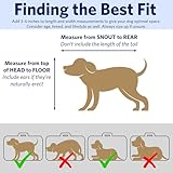 Zoom IMG-2 midwest homes for pets gabbia Zoom IMG-2 midwest homes for pets gabbia