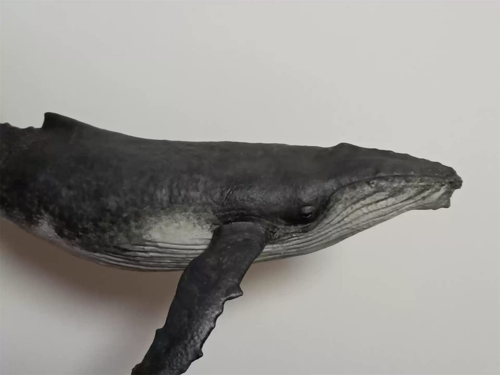 木彫　絶滅クジラ　ドルドン　頭骨模型　13cm 木彫 絶滅クジラ ドルドン 頭骨模型 13cm - メルカリ