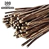 DIRBUY 300PCS 4 inch Wood Log Sticks for Crafts - Natural Twigs Sticks- Birch Wood Craft Sticks for DIY Rustic Home Decor School Projects Crafting Filler, 0.08-0.15 Inch in Diameter #2
