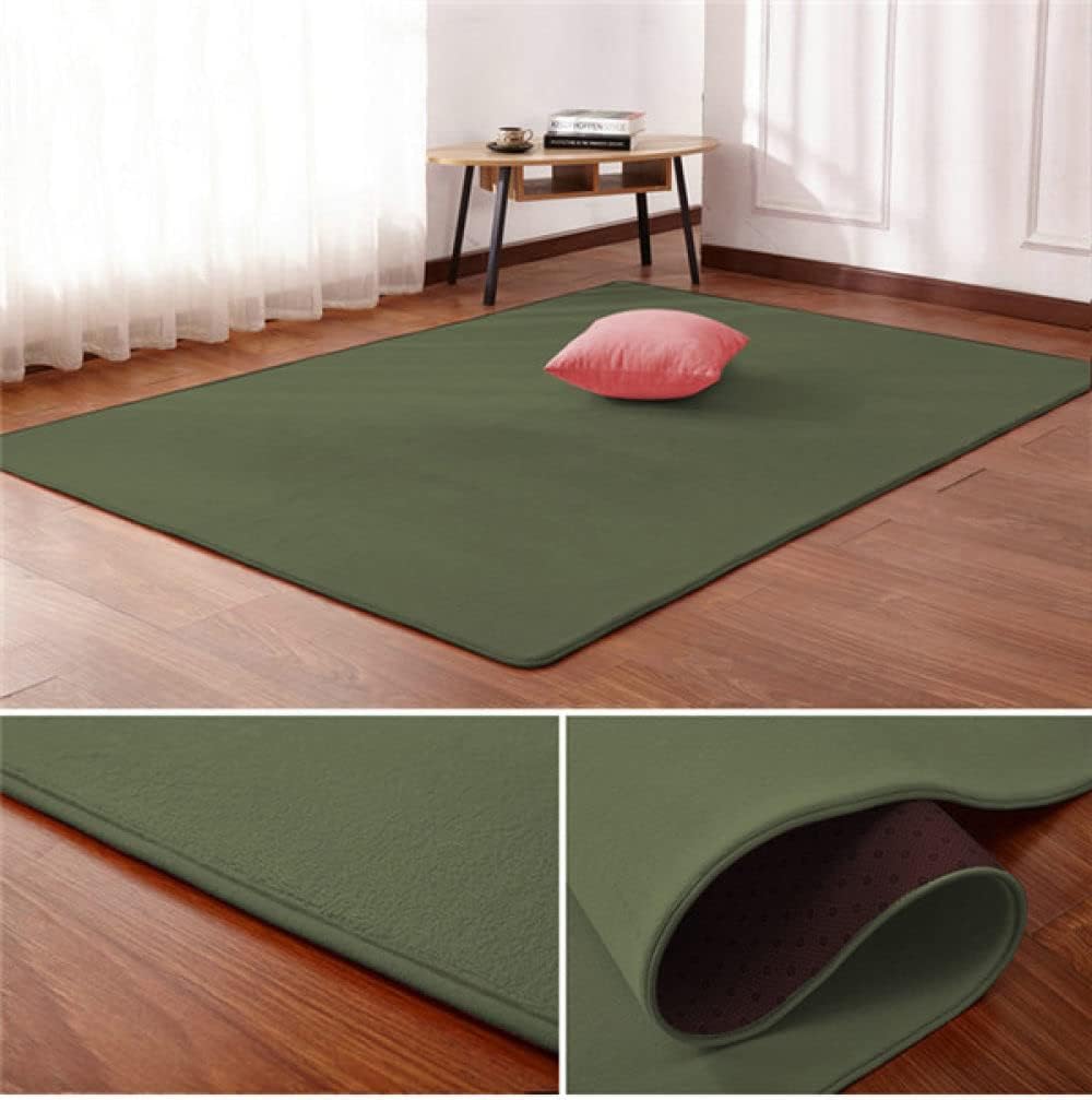 Nordic Coral Velvet Carpet Living Room Floor Mat Bedroom Blanket Living Room Rug Bedroom Bedside Rectangular Floor Pad,2,40cm x 60cm