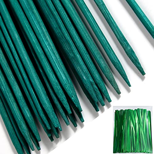 10 Best Wooden Plant Stakes for Supportive Gardening Success 8 50 PCS 18 inches Bamboo Plant Support Sticks