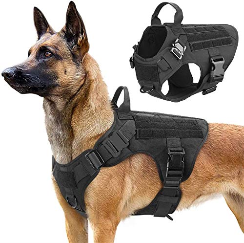 DHGTEP Pettorina per Cani e Guinzaglio per Cani di...