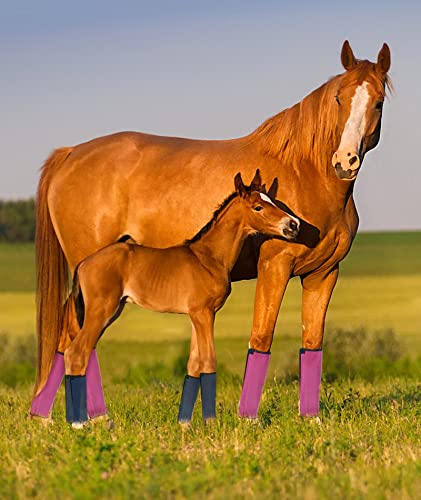 Gydoty Fly Boots For Horses - Mesh Horse Leggins, Leg Fly Protection For Horse Fly Boots Set Of 4(Medium, Pink) #TOP1