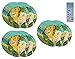 Unique Lion King Birthday Baby Shower Party Supplies Bundle Pack includes 24 Lunch Paper Plates and 1 Dinosaur Sticker Sheet