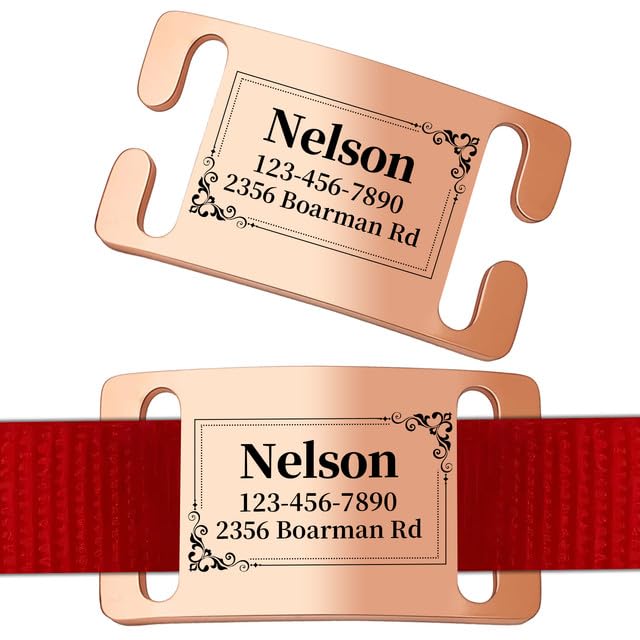 Personalised Dog Tags Engraved for Pets - Custom Name & ID Tag with Silent Slide-On Design for Dogs & Cats | Engrave Pet Identity on Stainless Steel Tag for Collar