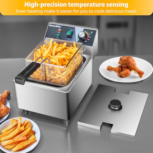 Large Capacity Deep Fryer