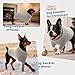 ASENKU Hundepullover Kleine Hunde M, Gestrickt Hundepullover Winter Warm mit Geschirr öffnung, Waschbar Rollkragen Strickpullover Hundepulli mit Beinen für Französische Bulldogge, Boston Terrier