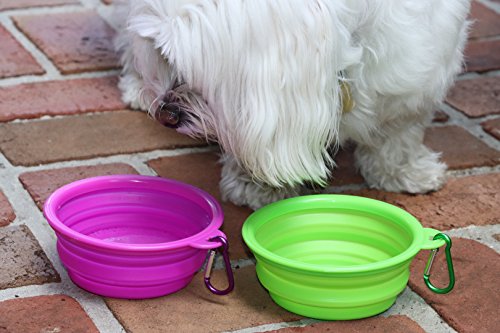 2 Pcs Round Pet Bowl, Collapsible For Dog & Cat Red Bowl, Food Grade Silicon Bpa Free, Portable Travel Bowl #TOP5