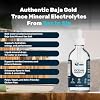 Baja Gold Liquid Ocean Trace Mineral Drops - Ionic Electrolyte Drops for Drinking Water & Food Flavor Enhancement - Mineral-Rich Saline Solution & Oral Cleanse - 4 fl oz, 30-Day Supply