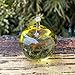 Yellow Glass Apple Figurine – Handmade Fused Art Glass Fruit – Mini Decorative Apple for Kitchen Shelf or Desk – Teacher Thank You Gift