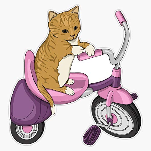 Leyland Designs Cat On A Tricycle Sticker Outdoor Rated Vinyl Sticker Decal for Windows, Bumpers,...