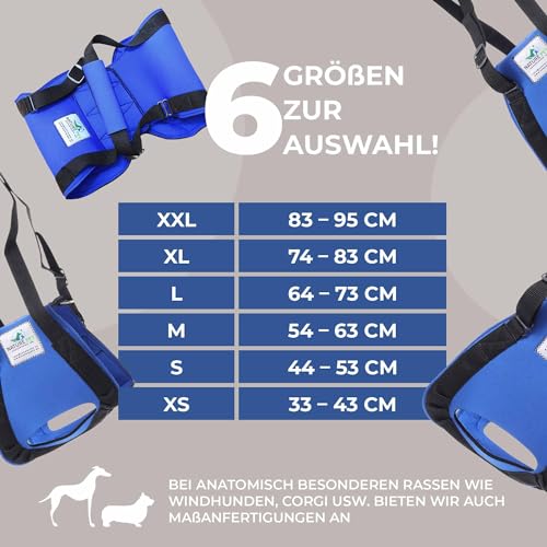 Nature Pet © - Tragehilfe Hund hinten - Verstellbarer Hunde Tragegurt als Treppenhilfe - Ideal für ältere, kranke oder operierte Vierbeiner - Praktische Unterstützung für Mobilität (L, Blau)