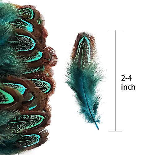 50 Pcs Natural Pheasant Plumage Feathers 2-3 Inches Plumage Feathers For Sewing Crafts Clothing Decorating Accessories -Blue #TOP6