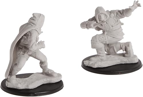 Pathfinder Deep Cuts Unpainted Miniatures Wave 1 Human Male Rogue