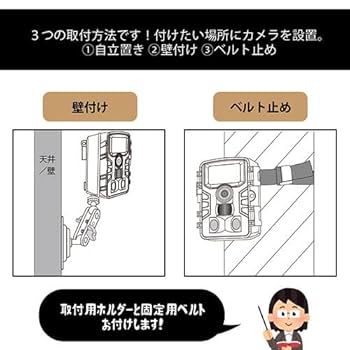 Amazon.co.jp: サイエルインターナショナル フルハイビジョン