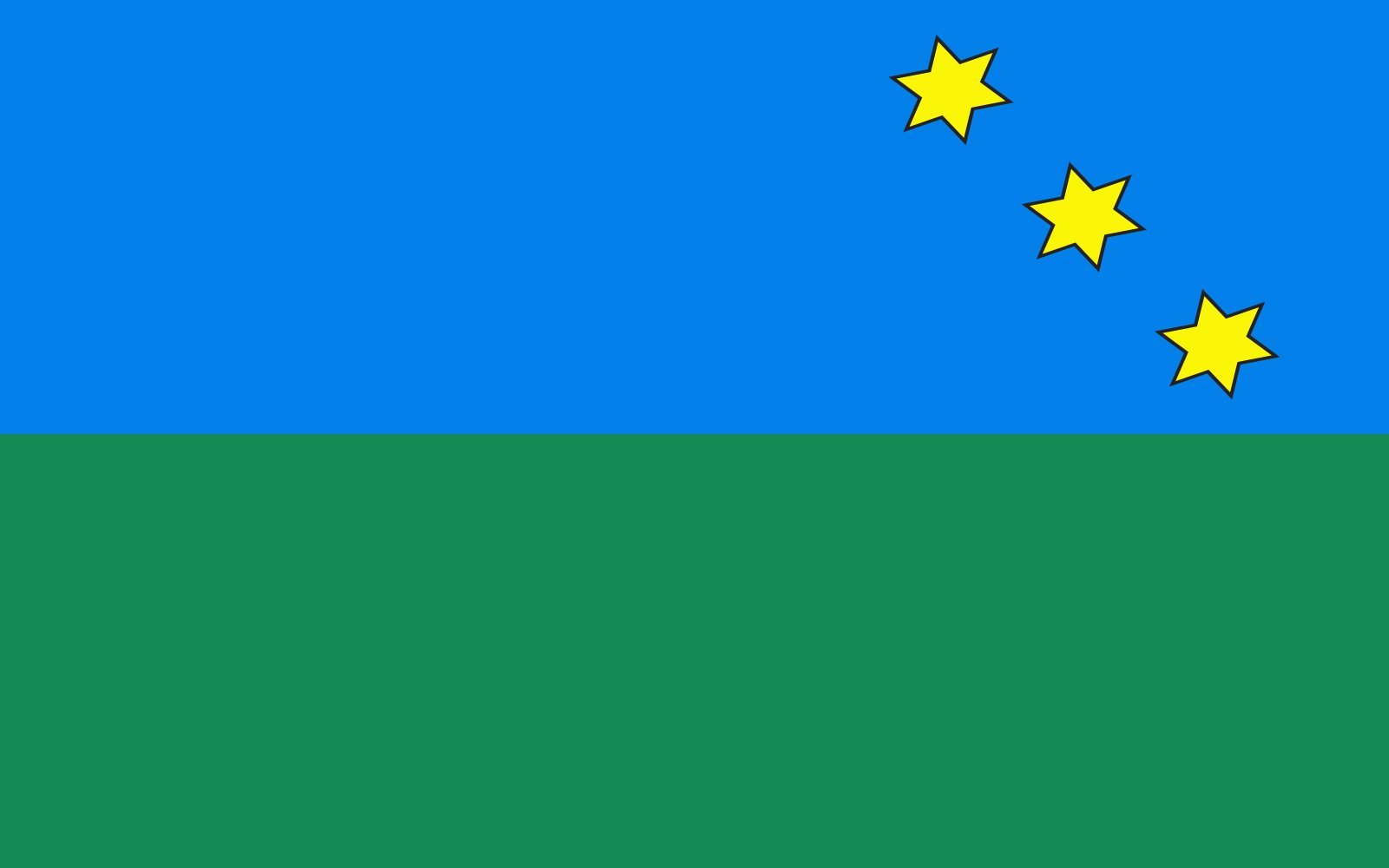 Drapeau large Torzym de la Pologne pour pavoisement extérieur