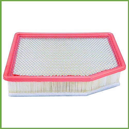 ECOGARD XA11704 Engine Air Filter