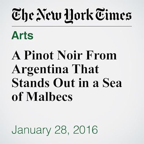 A Pinot Noir From Argentina That Stands Out in a Sea of Malbecs cover art