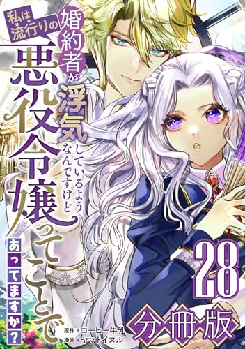 婚約者が浮気しているようなんですけど私は流行りの悪役令嬢ってことであってますか?【分冊版】28