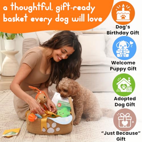 New Puppy Gift Basket for Puppies, Adopted Dogs & Small Family Dogs - Chew Toys, Squeaky Toys, Toy Box, Treat Mold, Pet Blanket - Dog Gift Basket Essentials - Image 2