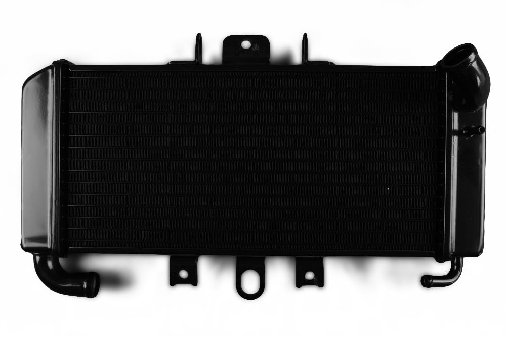 avdb-Moto Radiateur d'eau Compatible avec Yamaha FAZER 600 FZS RJ02 1998-2001, FAZER 600 FZS RJ025 2002-2003, FAZER 600 FZS RJ025 2002-2003, FAZER 600 FZS RJ02 1998-2001