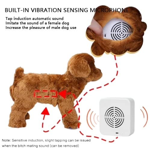 Jouet Interactif Réaliste Pour Chat Animal De Compagnie 3D En Peluche