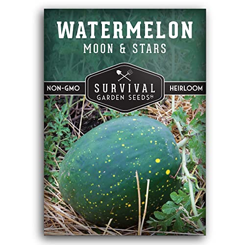 Moon & Stars Watermelon Seeds for Planting – Rare Super Sweet Non-GMO Heirloom Melon Variety – Survival Garden Seeds (1 Pack)