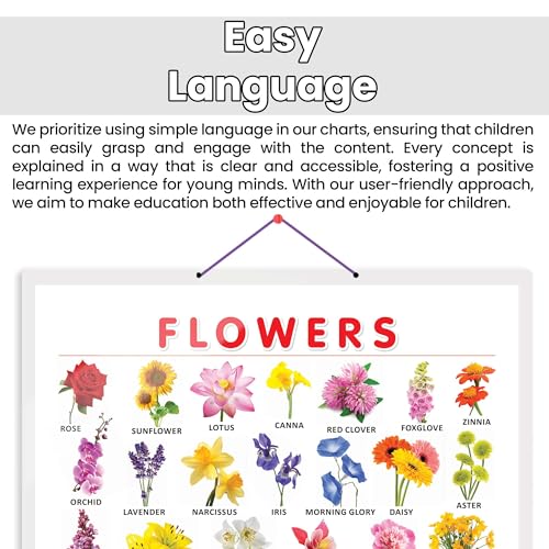 Image of GO WOO FLOWERS CHART HARD LAMINATED | Botanical Beauty: Sturdy Laminated Flowers Wall Display