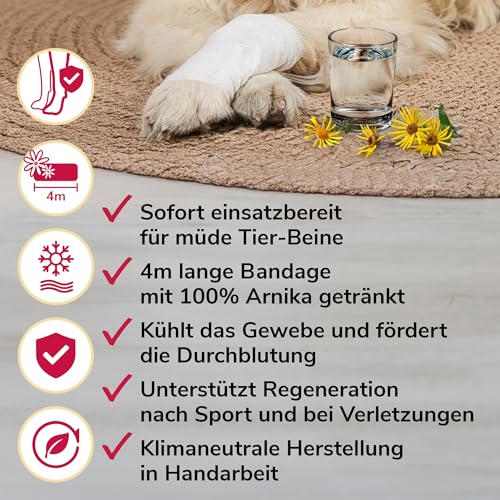 HERZENSTIER Arnikawunderwickel für Pferde, Hunde & Katzen – getränkte Bandage mit 100% Arnika – Unterstützung bei Regeneration, Prellungen & Muskelkater – 4 m lang, mehrfach verwendbar