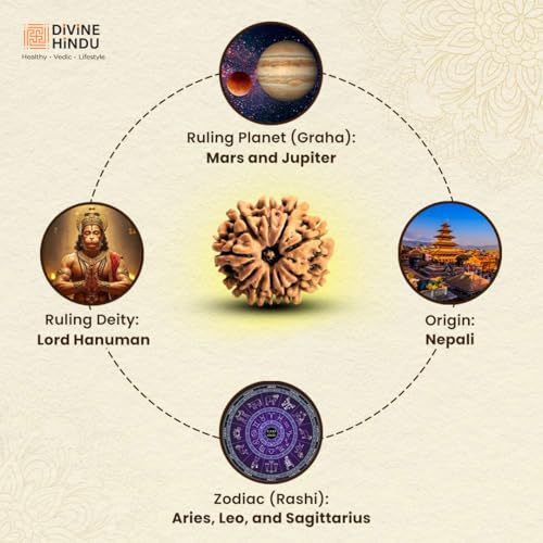 Image of Divine Hindu Original 11 Mukhi Nepali Rudraksha Lab Certified - Eleven Face Bead Blessed by Lord Hanuman for Courage & Success | Energized Spiritual Pendant for Men & Women with Certificate