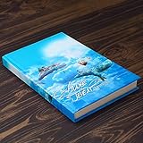  Dreamer (Feat. Z-O) (Soundstream Remix)