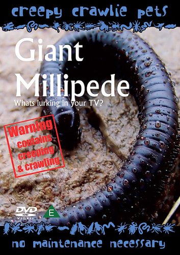 Creepy Crawlie Pets - Giant Millipede [Import anglais]