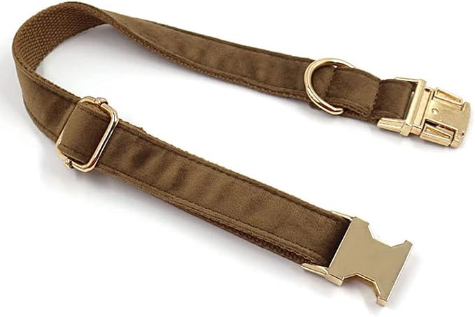 Collar Personalizado para Perro en Terciopelo Marrón XL miniatura 7