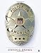 Police in America