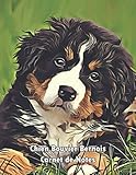  Chien Bouvier Bernois Carnet de Notes: Cadeau chien - Carnet de notes ligné - Journal Grand Format - 120 pages – Bouvier Bernois Chiot