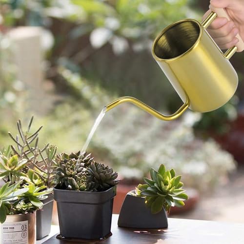 Image of Watering Can Indoor Plants, 35 oz /1000 ml Metal Stainless Steel Watering Can Pot with Long Spout for Indoor House Plants Bonsai Outdoor Garden Flower Decorative (Gold)
