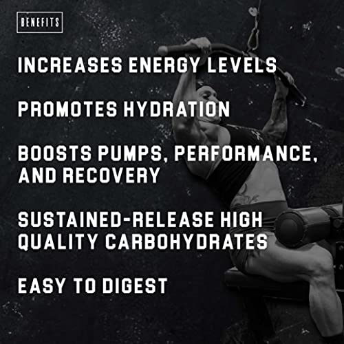 Axe & Sledge Supplements Demo Day Intra-Workout Carbohydrate Powder With Cluster Dextrin, Carb10, Hydromax, & Palatinose, Enhances Performance And Pumps, 30 Servings (Unflavored) #TOP1