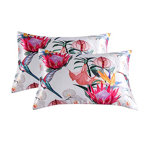 HOTNIU Lot de 2 taies d'oreiller en Satin, 100% Microfibre Housse d'oreiller Doux Prend Soin de Votre Peau Facile à Laver (20 x 30 inches, Modèle#BXN)