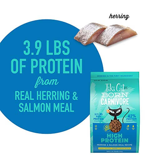 Tiki Cat Born Carnivore High Protein, Herring & Salmon Meal, Grain-Free Baked Kibble To Maximize Nutrients, Dry Cat Food, 5.6 Lbs. Bag #TOP5