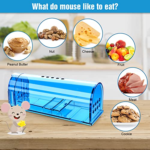 4 Pack Humane Mouse Traps No Kill, Live Mouse Traps Indoor For Home, Reusable Mice Small Rat Trap Catcher For House & Outdoors #TOP4