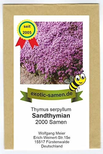 Blauer Kriech-Thymian Samen | Thymus Serpyllum 1000 Samen | Winterharte Bodendecker