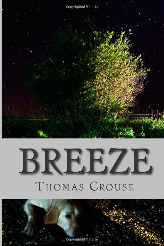 Breeze: A Swift Glance at Fleeting Intelligence